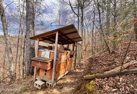 Tiny photo for 132 Sugar Maple Way, Del Rio, TN 37727 (MLS # 1332883)