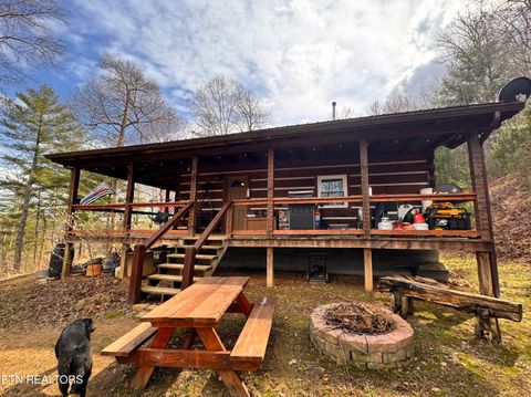 Tiny photo for 132 Sugar Maple Way, Del Rio, TN 37727 (MLS # 1332883)