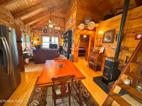 Tiny photo for 132 Sugar Maple Way, Del Rio, TN 37727 (MLS # 1332883)