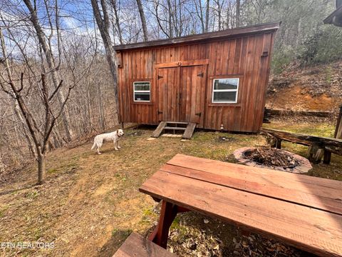 Tiny photo for 132 Sugar Maple Way, Del Rio, TN 37727 (MLS # 1332883)