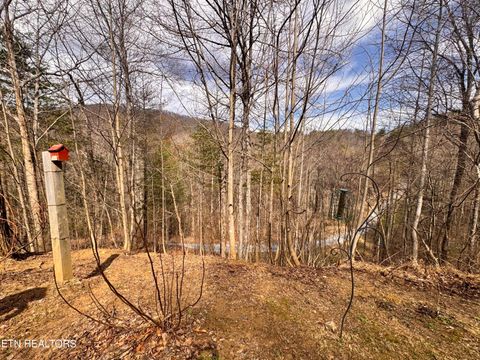 Tiny photo for 132 Sugar Maple Way, Del Rio, TN 37727 (MLS # 1332883)