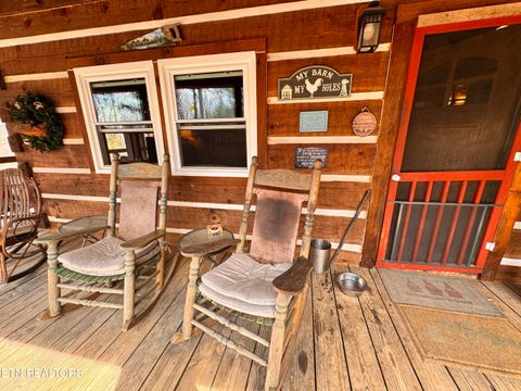 Tiny photo for 132 Sugar Maple Way, Del Rio, TN 37727 (MLS # 1332883)