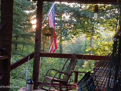 Tiny photo for 132 Sugar Maple Way, Del Rio, TN 37727 (MLS # 1332883)