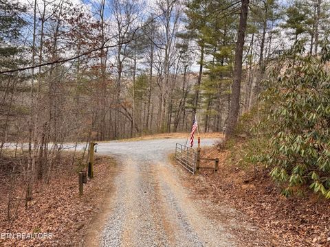 Tiny photo for 132 Sugar Maple Way, Del Rio, TN 37727 (MLS # 1332883)