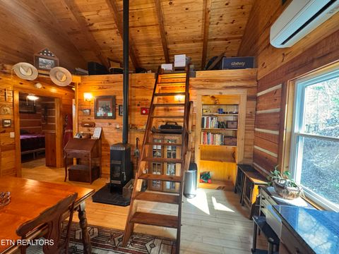 Tiny photo for 132 Sugar Maple Way, Del Rio, TN 37727 (MLS # 1332883)