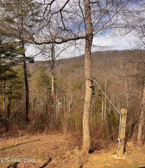 Tiny photo for 132 Sugar Maple Way, Del Rio, TN 37727 (MLS # 1332883)