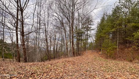 Tiny photo for 132 Sugar Maple Way, Del Rio, TN 37727 (MLS # 1332883)