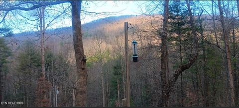 Tiny photo for 132 Sugar Maple Way, Del Rio, TN 37727 (MLS # 1332883)