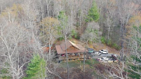 Tiny photo for 132 Sugar Maple Way, Del Rio, TN 37727 (MLS # 1332883)