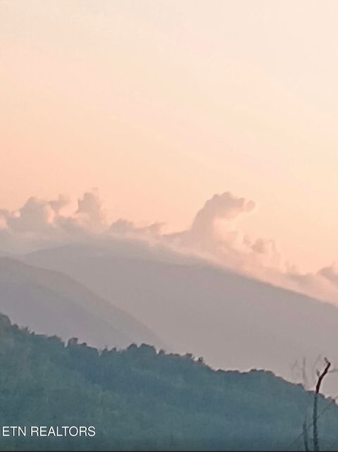 Tiny photo for 132 Sugar Maple Way, Del Rio, TN 37727 (MLS # 1332883)