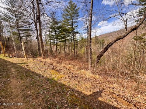 Tiny photo for 132 Sugar Maple Way, Del Rio, TN 37727 (MLS # 1332883)