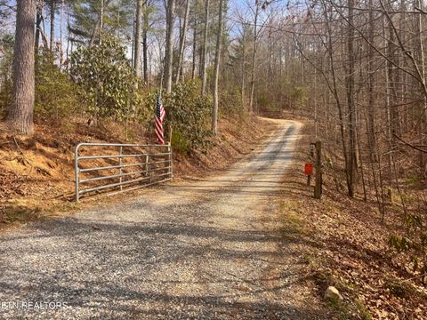 Tiny photo for 132 Sugar Maple Way, Del Rio, TN 37727 (MLS # 1332883)