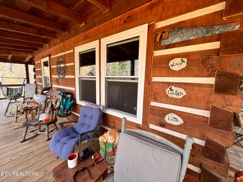 Tiny photo for 132 Sugar Maple Way, Del Rio, TN 37727 (MLS # 1332883)