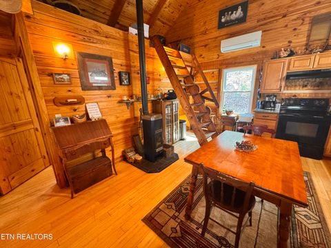 Tiny photo for 132 Sugar Maple Way, Del Rio, TN 37727 (MLS # 1332883)