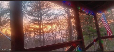 Tiny photo for 132 Sugar Maple Way, Del Rio, TN 37727 (MLS # 1332883)