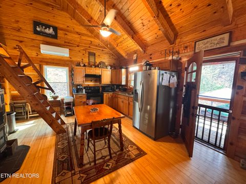 Tiny photo for 132 Sugar Maple Way, Del Rio, TN 37727 (MLS # 1332883)