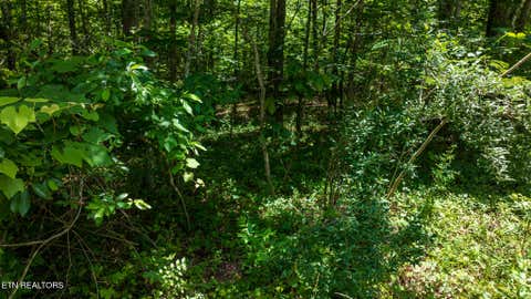 Tiny photo for 5011 Ostego Drive, Crossville, TN 38572 (MLS # 1349657)