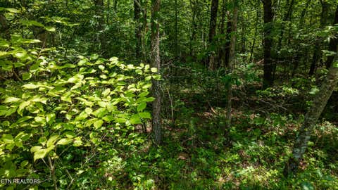 Tiny photo for 5011 Ostego Drive, Crossville, TN 38572 (MLS # 1349657)