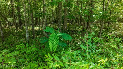 Tiny photo for 5011 Ostego Drive, Crossville, TN 38572 (MLS # 1349657)