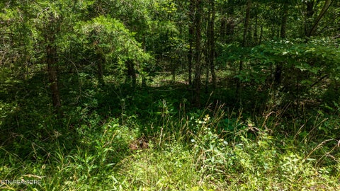 Tiny photo for 5011 Ostego Drive, Crossville, TN 38572 (MLS # 1349657)