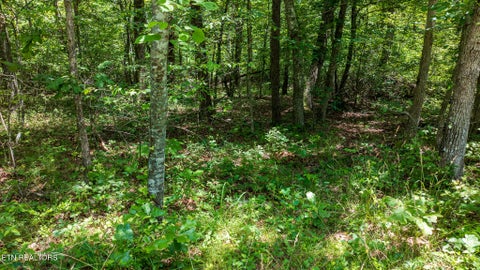 Tiny photo for 5011 Ostego Drive, Crossville, TN 38572 (MLS # 1349657)