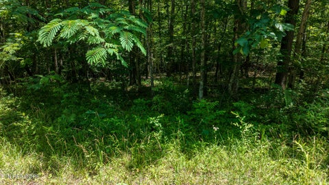 Tiny photo for 5011 Ostego Drive, Crossville, TN 38572 (MLS # 1349657)