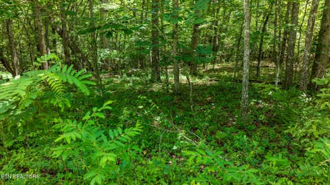 Tiny photo for 5011 Ostego Drive, Crossville, TN 38572 (MLS # 1349657)