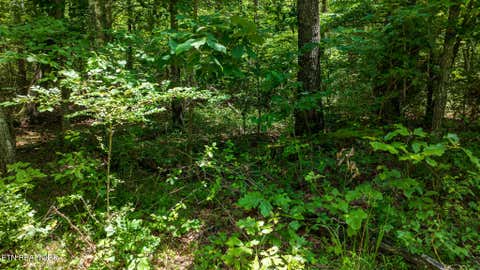 Tiny photo for 5011 Ostego Drive, Crossville, TN 38572 (MLS # 1349657)