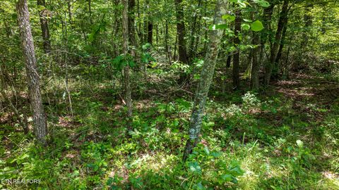 Tiny photo for 5011 Ostego Drive, Crossville, TN 38572 (MLS # 1349657)