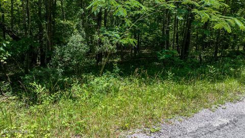 Tiny photo for 5011 Ostego Drive, Crossville, TN 38572 (MLS # 1349657)