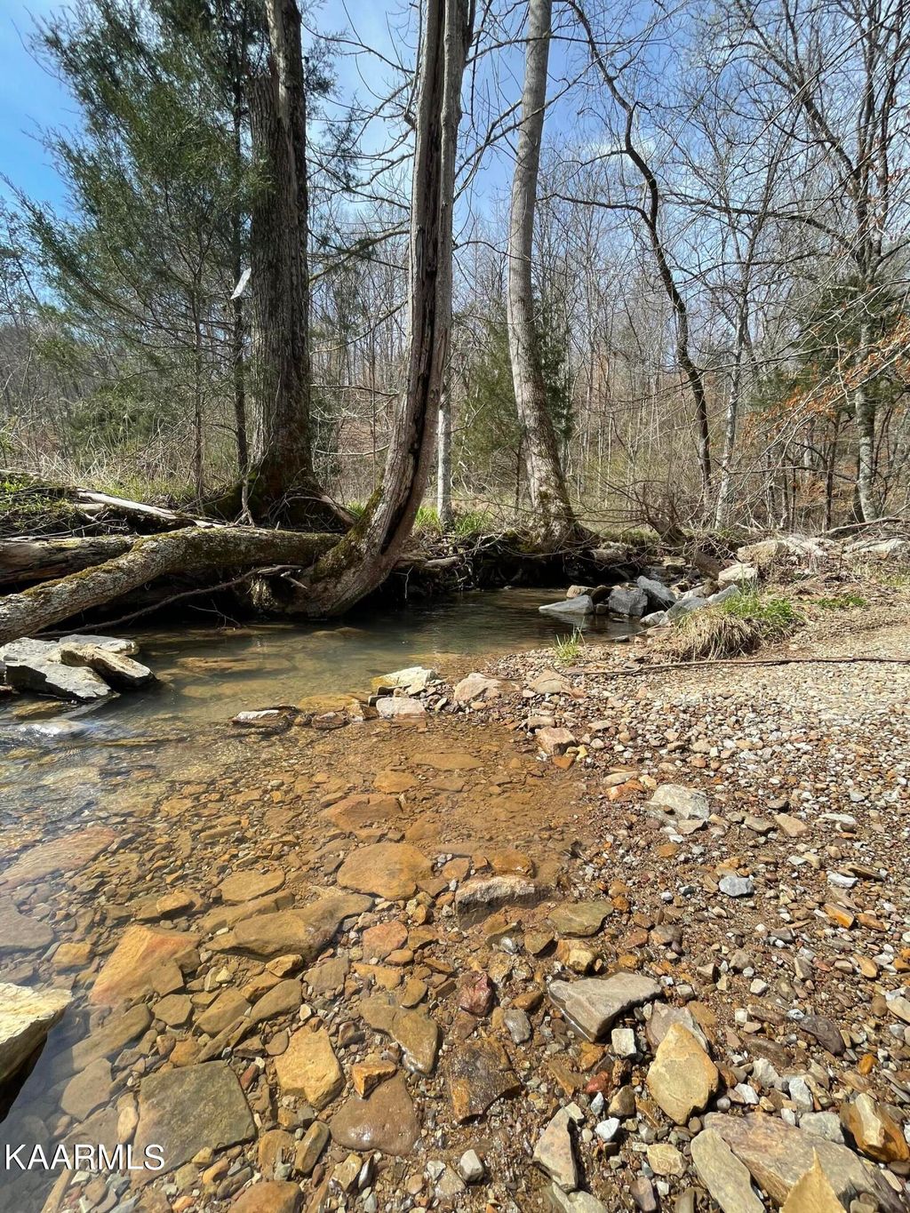 Photo of Skaggs Hollow Rd, Tazewell, TN 37879 (MLS # 1336920)