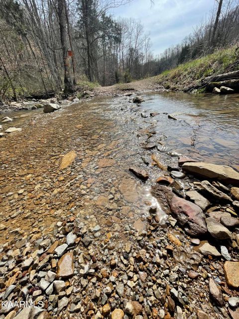 Photo of Skaggs Hollow Rd, Tazewell, TN 37879 (MLS # 1336920)