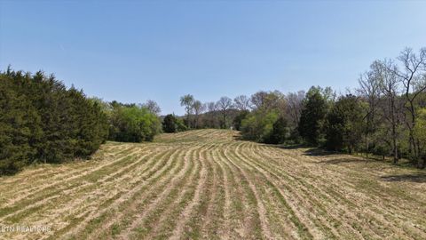 Tiny photo for 0 Indian Ridge Rd, Blaine, TN 37709 (MLS # 1336551)