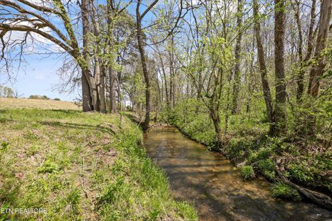 Tiny photo for 0 Indian Ridge Rd, Blaine, TN 37709 (MLS # 1336551)
