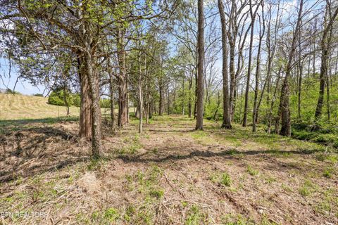 Tiny photo for 0 Indian Ridge Rd, Blaine, TN 37709 (MLS # 1336551)