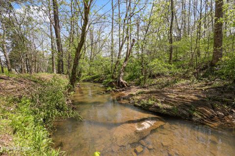 Tiny photo for 0 Indian Ridge Rd, Blaine, TN 37709 (MLS # 1336551)