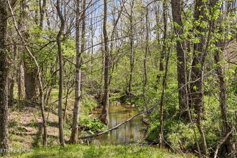 Tiny photo for 0 Indian Ridge Rd, Blaine, TN 37709 (MLS # 1336551)