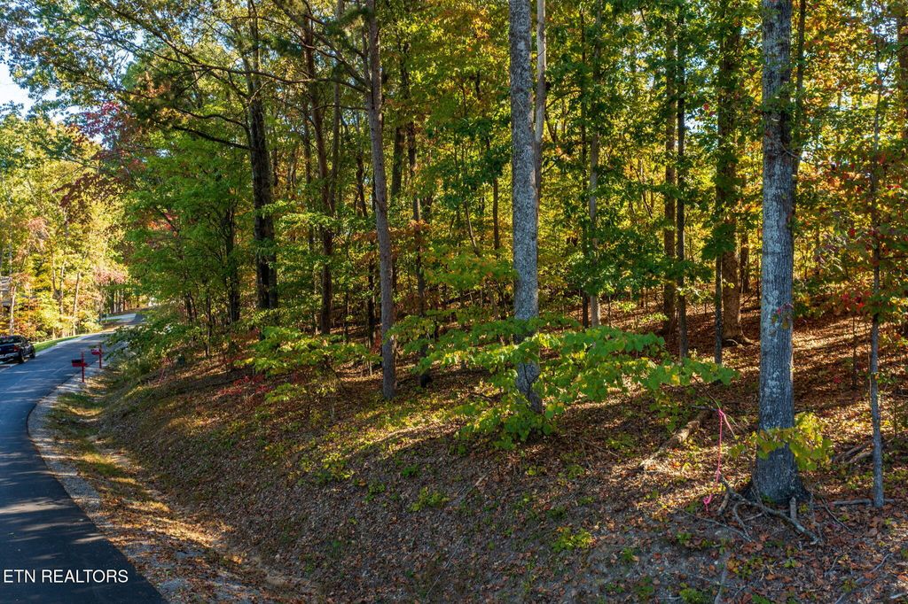Photo of 215 Chahyga Circle, Loudon, TN 37774 (MLS # 1318809)