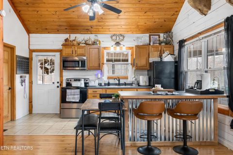Tiny photo for 598 Hiwassee View Drive, Jacksboro, TN 37757 (MLS # 1330876)