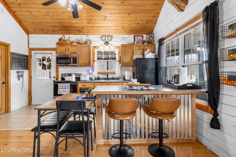 Tiny photo for 598 Hiwassee View Drive, Jacksboro, TN 37757 (MLS # 1330876)