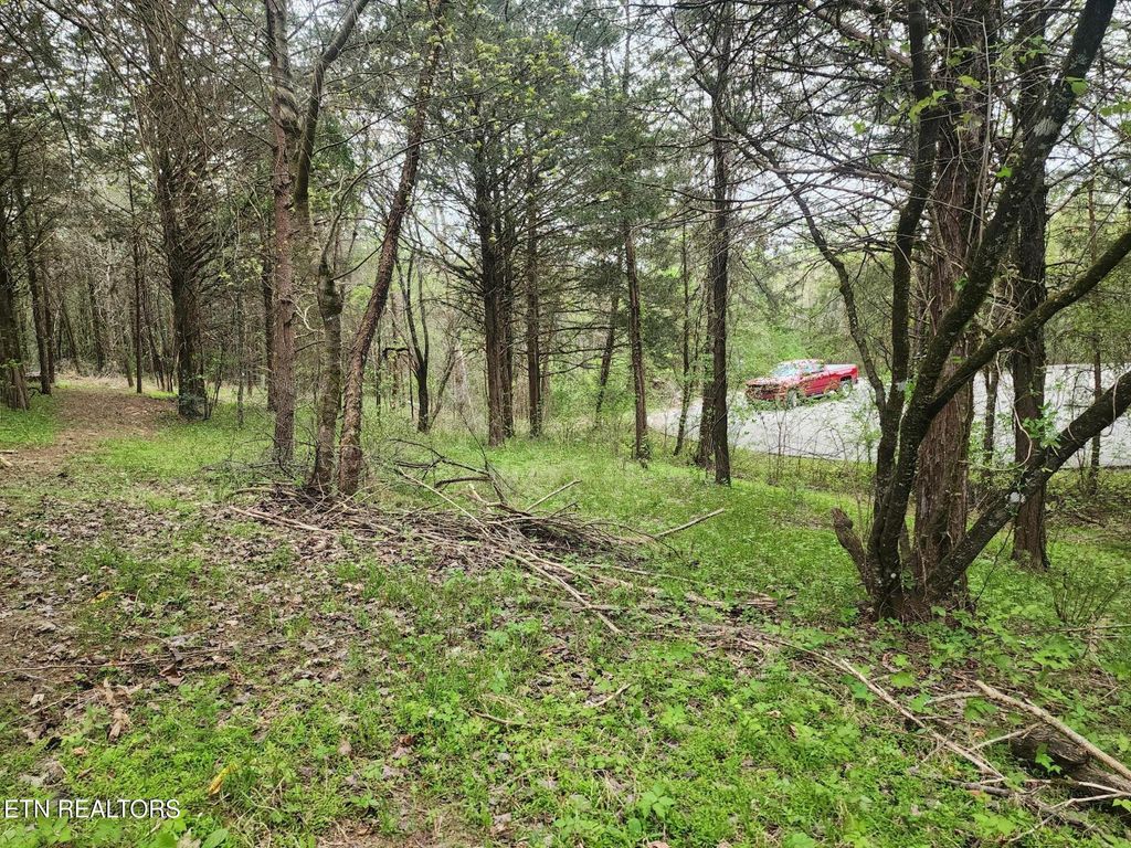 Photo of 173 lot Wedge Way Way, Tazewell, TN 37879 (MLS # 1298254)