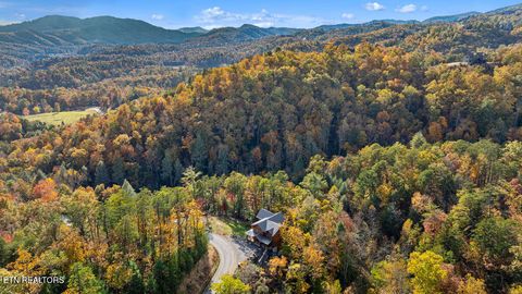 Tiny photo for 2971 Laughing Pine Lane, Sevierville, TN 37862 (MLS # 1320978)