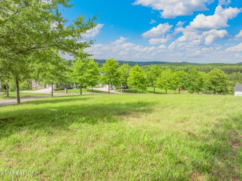 Tiny photo for 134 Pineberry East Rd, Oak Ridge, TN 37830 (MLS # 1305211)