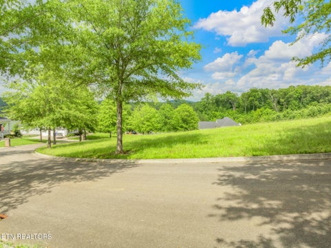 Tiny photo for 134 Pineberry East Rd, Oak Ridge, TN 37830 (MLS # 1305211)