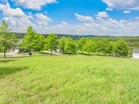 Tiny photo for 134 Pineberry East Rd, Oak Ridge, TN 37830 (MLS # 1305211)