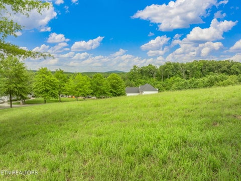 Tiny photo for 134 Pineberry East Rd, Oak Ridge, TN 37830 (MLS # 1305211)