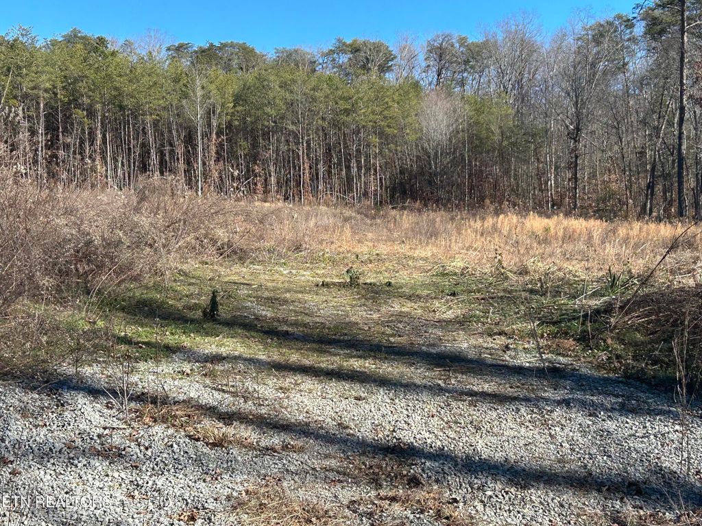 Photo of 504 Wiggins Rd, Tellico Plains, TN 37385 (MLS # 1323512)