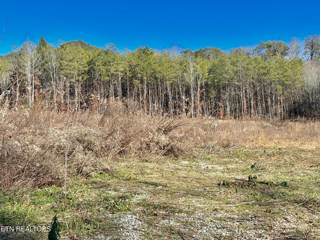 Photo of 504 Wiggins Rd, Tellico Plains, TN 37385 (MLS # 1323512)