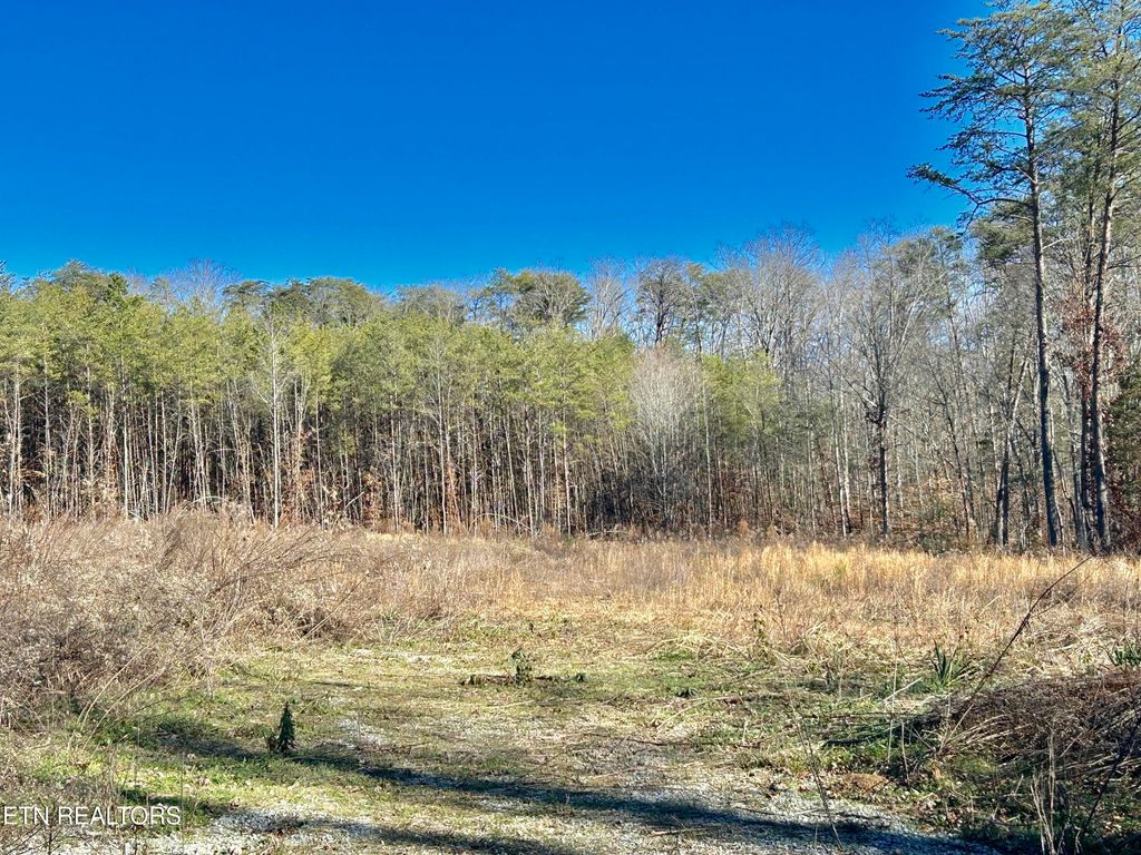 Photo of 504 Wiggins Rd, Tellico Plains, TN 37385 (MLS # 1323512)