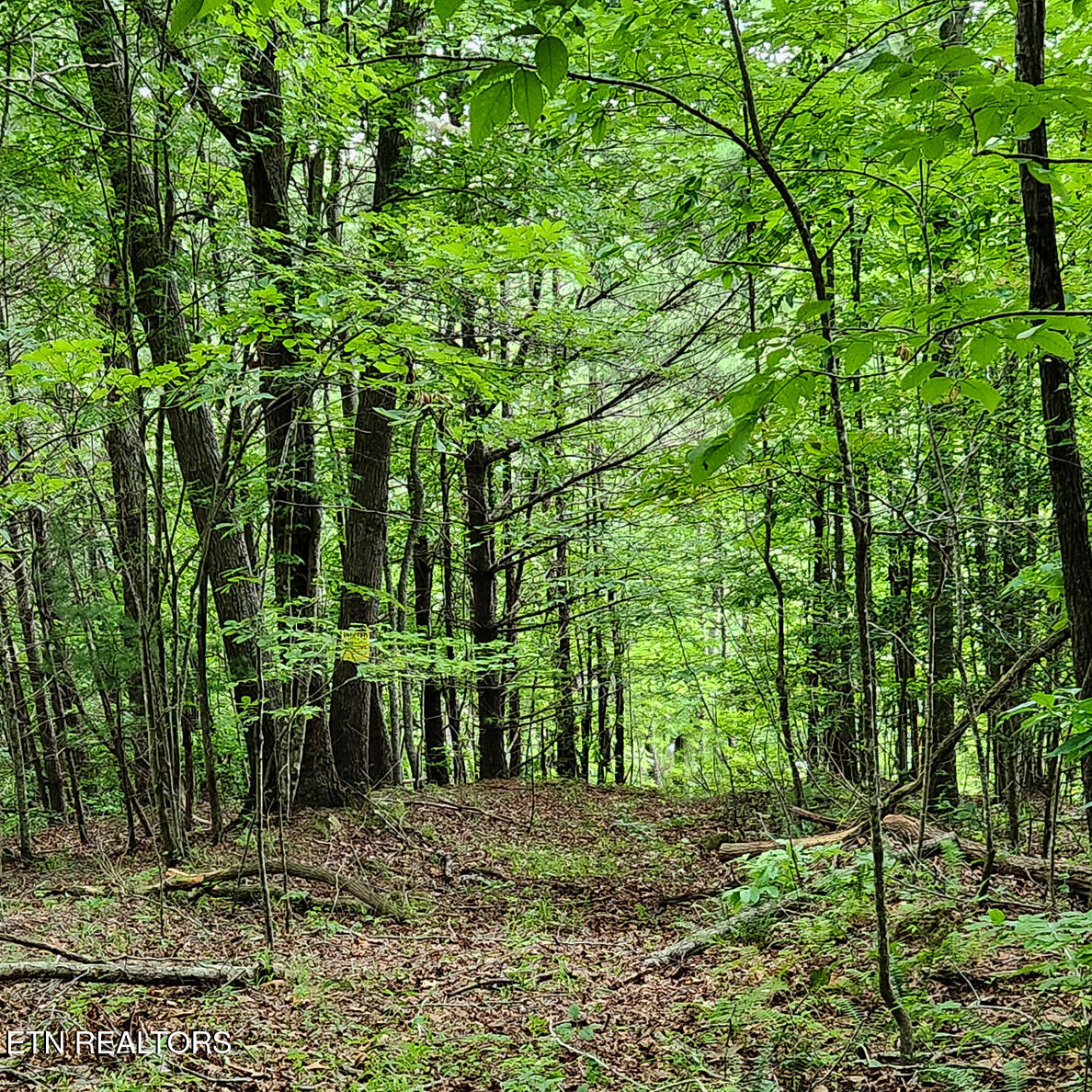 249 Arthur McCormick Rd